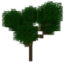 Minecraft Mod : Better Trees