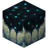 Minecraft Mod : BuffedSculkCatalysts