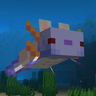 Minecraft Mod : AshAxolotl Axolotl Variant