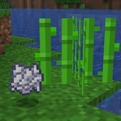 Minecraft Mod : Bone Meal Sugar Cane