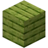 Minecraft Mod : Cactus Wood