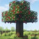 Biggs Apple Trees