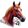 Bjork Horse
