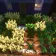 Minecraft Mod : CTOV - Croptopia compat
