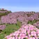 Minecraft Mod : Better Single Biome