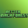 Better Birch Forest