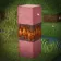Biome Heart