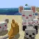Minecraft Mod : Animal Garden - Mouse