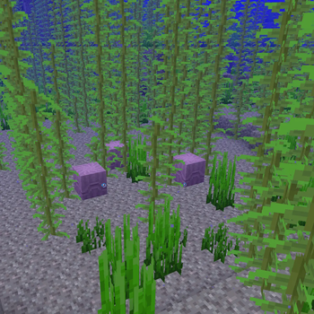 Minecraft Mod : Aquatic Shulkers 1