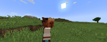 Minecraft Mod : AFK Camera 4
