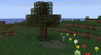 Minecraft Mod : Biome Shift 6