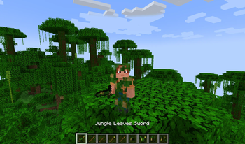Minecraft Mod : Anything 7