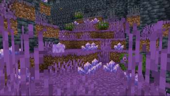 Minecraft Mod : Amethyst Caves 3