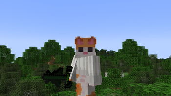 Minecraft Mod : Amanita 6