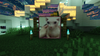 Minecraft Mod : Bingus & Floppa 7