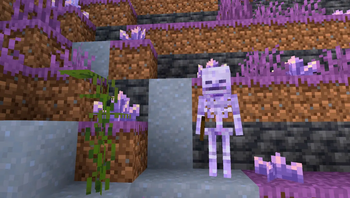 Minecraft Mod : Amethyst Caves 1
