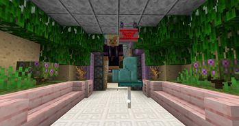 Minecraft Mod : Block'oMorph 8