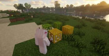 Minecraft Mod : Better Melon 7