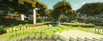 Minecraft Mod : Better Birch Forest 1