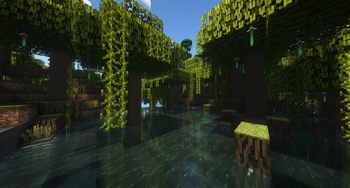 Minecraft Mod : Biome Vote Swamp 3