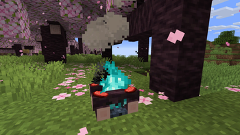Minecraft Mod : Beautiful Campfires 6