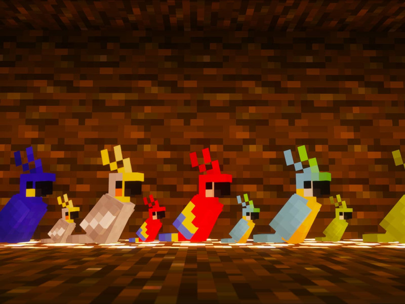 Minecraft Mod : Breed Parrots With Seeds 3