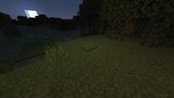 Minecraft Mod : Biome Moss 8