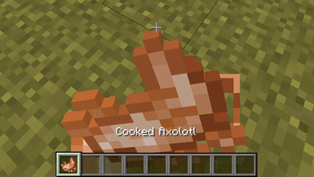 Minecraft Mod : Better Cooked Axolotls 4