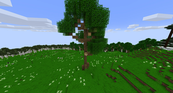 Minecraft Mod : Better Trees 11