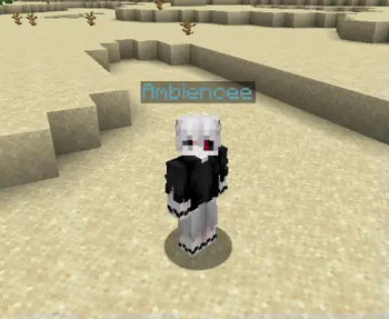 Minecraft Mod : Better Nametags 3