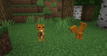 Minecraft Mod : Arboreal Nature 6
