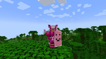 Minecraft Mod : BotaniaCombat 6