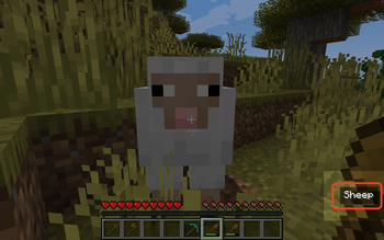 Minecraft Mod : BET - Block'n'Entity Tooltip 2