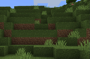 Minecraft Mod : BetterGrassify 5