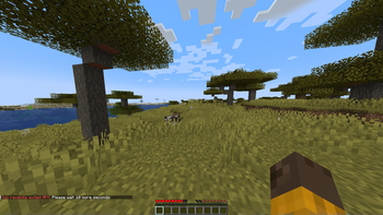 Minecraft Mod : AutoAFK 5