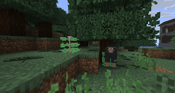 Minecraft Mod : Better Nature 5