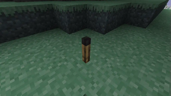 Minecraft Mod : Aether Addon: Enhanced Extinguishing 1