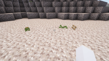 Minecraft Mod : CactusForage 3