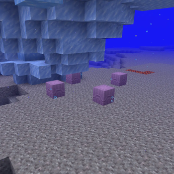Minecraft Mod : Aquatic Shulkers 3