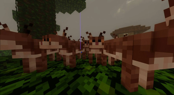 Minecraft Mod : Bingus & Floppa 6