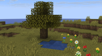 Minecraft Mod : Biome Shift 3