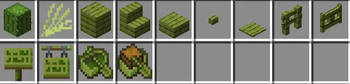 Minecraft Mod : Cactus Wood 1