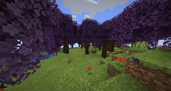 Minecraft Mod : Additional Biomes 10