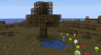 Minecraft Mod : Biome Shift 5