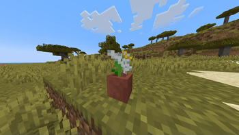 Minecraft Mod : Amanita 1