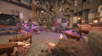 Minecraft Mod : Bingus & Floppa 12