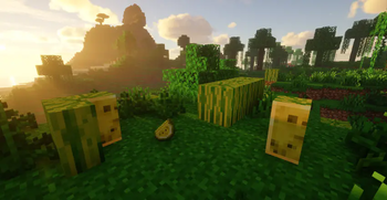 Minecraft Mod : Better Melon 3