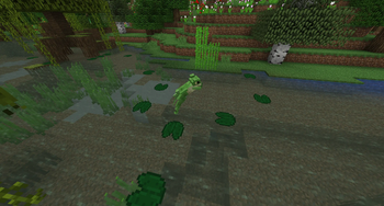 Minecraft Mod : Biome Vote Swamp 5