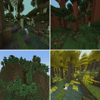 Minecraft Mod : Arboreal Nature 17