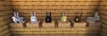 Minecraft Mod : Better Bunnies 2